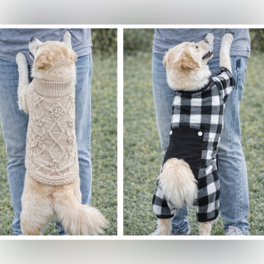 Top Paw Dog Sweater & Buffalo Plaid Bodysuit Bundle M